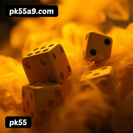 Recursos Exclusivos do App pk55 - Modo Offline, Login Biométrico